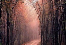 补锅匠名不虚传!拉涅利率罗马从第15冲到第8,目前逼近欧战区.