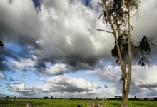 旺财28官网：科贝主持人：马竞的遭遇是不公正的，但他们该停止哭泣了.