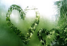 2024年中国篮球名人堂入堂名单公布，巩晓彬、苗立杰等入选@中国篮球协会.