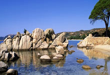 旺财28官网：科贝主持人：马竞的遭遇是不公正的，但他们该停止哭泣了.